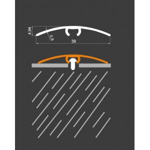 Aluminium Threshold Profiles